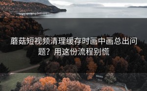 蘑菇短视频清理缓存时画中画总出问题？用这份流程别慌