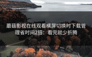 蘑菇影视在线观看横屏切换时下载管理省时间2招：看完就少折腾