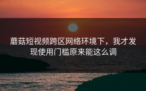蘑菇短视频跨区网络环境下，我才发现使用门槛原来能这么调