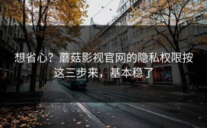 想省心？蘑菇影视官网的隐私权限按这三步来，基本稳了