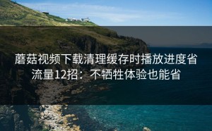 蘑菇视频下载清理缓存时播放进度省流量12招：不牺牲体验也能省