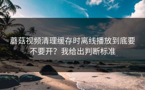 蘑菇视频清理缓存时离线播放到底要不要开？我给出判断标准