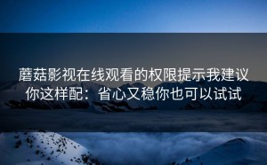 蘑菇影视在线观看的权限提示我建议你这样配：省心又稳你也可以试试