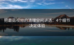 把蘑菇视频的清理空间讲透：4个细节决定体验