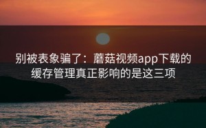 别被表象骗了：蘑菇视频app下载的缓存管理真正影响的是这三项