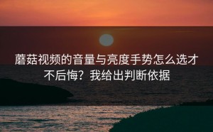 蘑菇视频的音量与亮度手势怎么选才不后悔？我给出判断依据