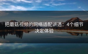把蘑菇视频的网络适配讲透：4个细节决定体验
