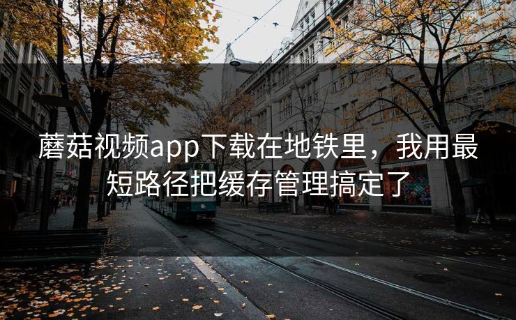 蘑菇视频app下载在地铁里，我用最短路径把缓存管理搞定了