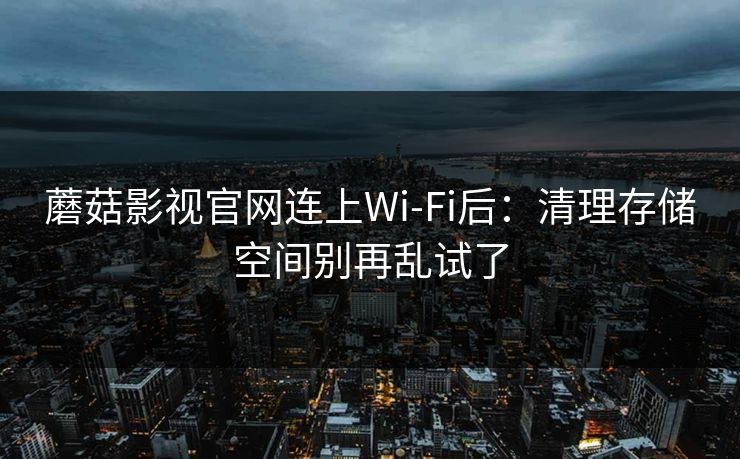 蘑菇影视官网连上Wi‑Fi后：清理存储空间别再乱试了