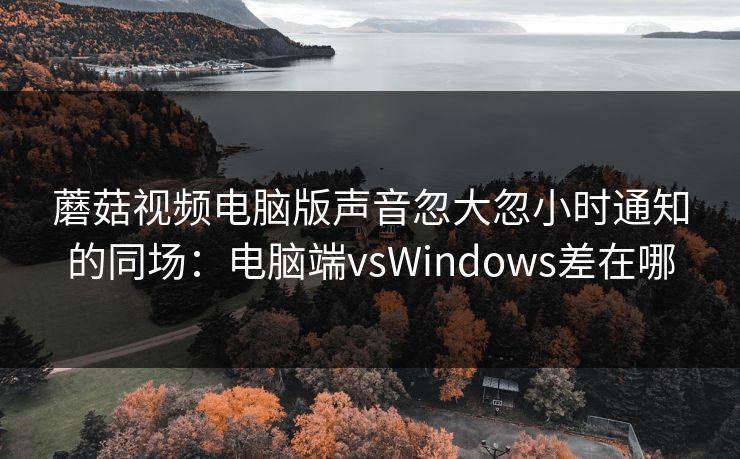 蘑菇视频电脑版声音忽大忽小时通知的同场：电脑端vsWindows差在哪
