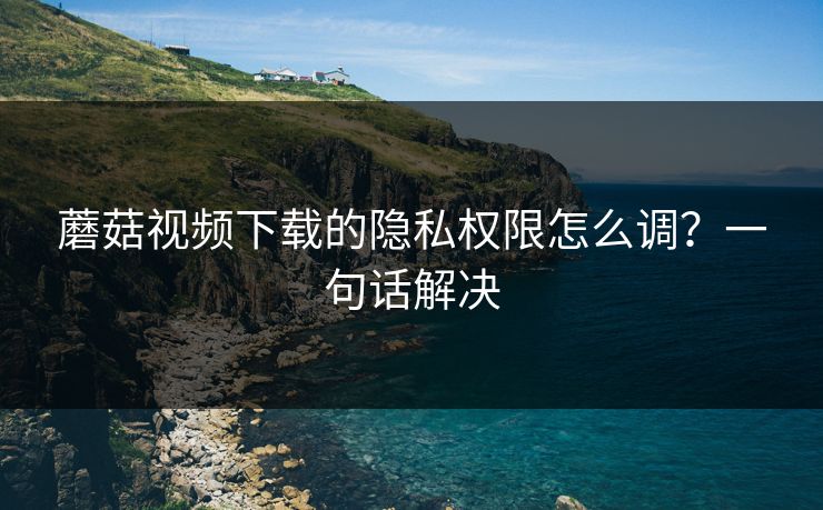 蘑菇视频下载的隐私权限怎么调？一句话解决