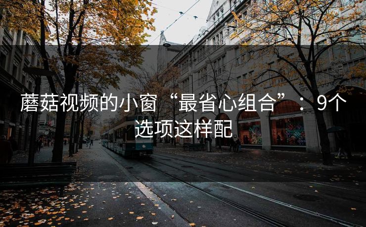 蘑菇视频的小窗“最省心组合”：9个选项这样配