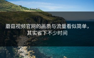 蘑菇视频官网的画质与流量看似简单，其实省下不少时间