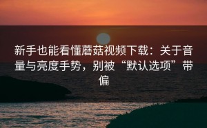 新手也能看懂蘑菇视频下载：关于音量与亮度手势，别被“默认选项”带偏