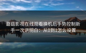 蘑菇影视在线观看换机后手势控制新手一次讲明白：从0到1怎么设置