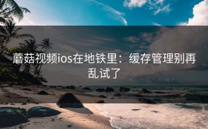 蘑菇视频ios在地铁里：缓存管理别再乱试了