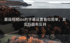 蘑菇视频ios的字幕设置看似简单，其实后面有反转