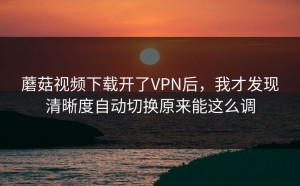 蘑菇视频下载开了VPN后，我才发现清晰度自动切换原来能这么调