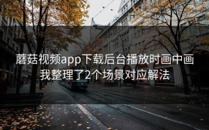蘑菇视频app下载后台播放时画中画我整理了2个场景对应解法
