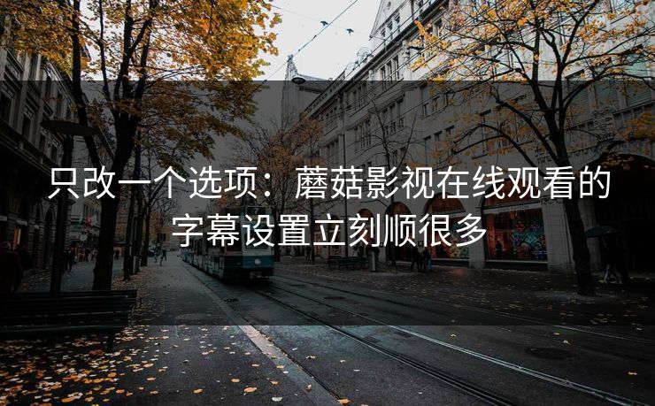 只改一个选项：蘑菇影视在线观看的字幕设置立刻顺很多