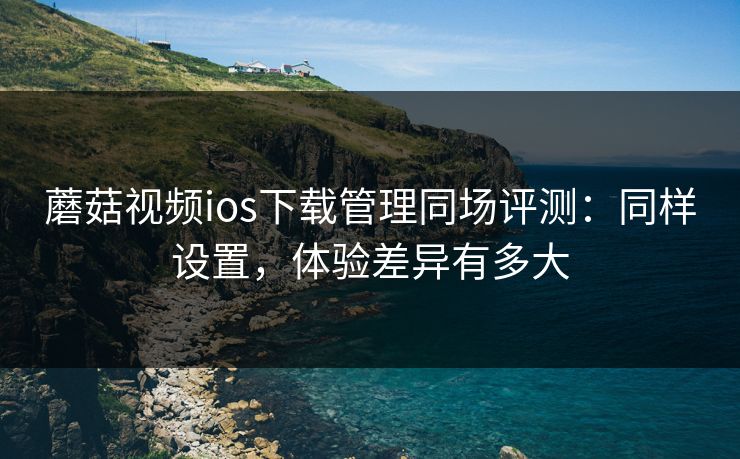 蘑菇视频ios下载管理同场评测：同样设置，体验差异有多大