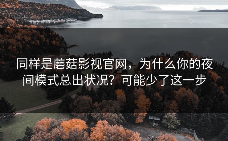 同样是蘑菇影视官网，为什么你的夜间模式总出状况？可能少了这一步