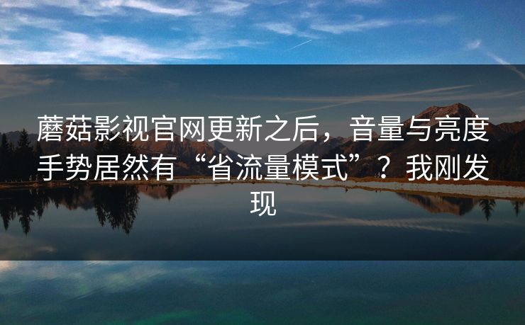蘑菇影视官网更新之后，音量与亮度手势居然有“省流量模式”？我刚发现