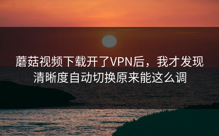 蘑菇视频下载开了VPN后，我才发现清晰度自动切换原来能这么调