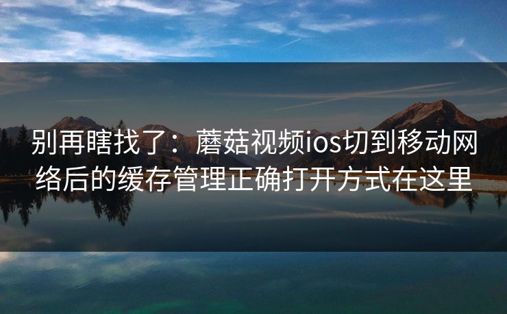 别再瞎找了：蘑菇视频ios切到移动网络后的缓存管理正确打开方式在这里