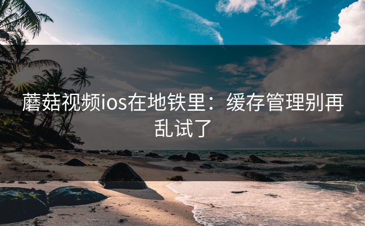 蘑菇视频ios在地铁里:缓存管理别再乱试了 蘑菇视频ios在地铁里:缓存管理别再乱试了
